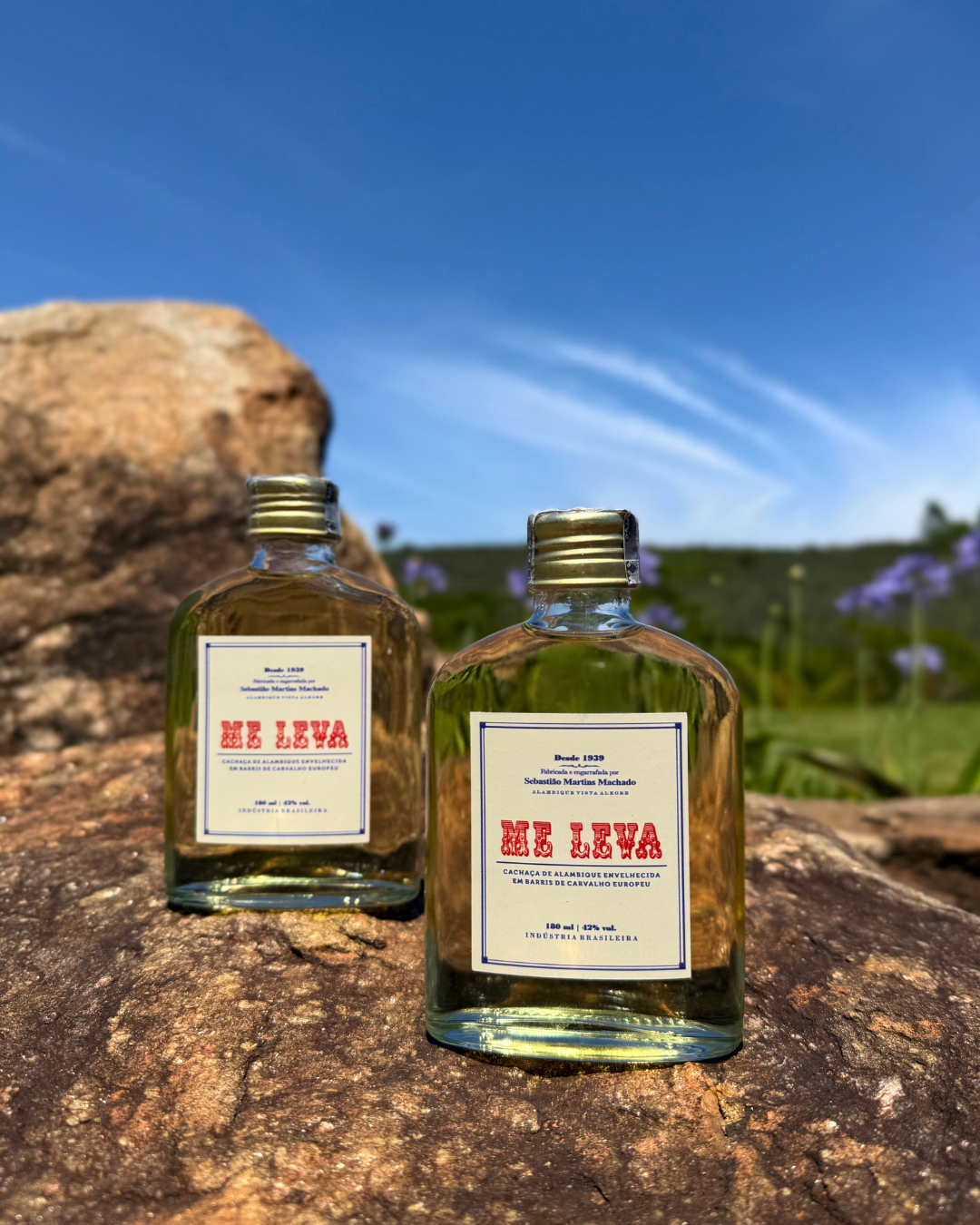 "Me Levinha" Carvalho Europeu